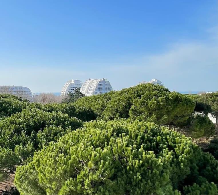 Les Jardins Du Couchant * Proche Mer * Climatisation * Parking Prive La Grande Motte Bagian luar foto